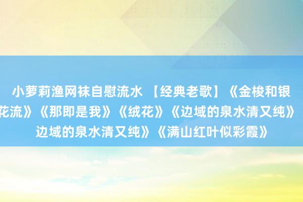 小萝莉渔网袜自慰流水 【经典老歌】《金梭和银梭》《妹妹找哥泪花流》《那即是我》《绒花》《边域的泉水清又纯》《满山红叶似彩霞》