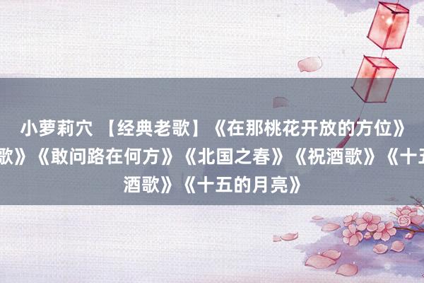 小萝莉穴 【经典老歌】《在那桃花开放的方位》《牡丹之歌》《敢问路在何方》《北国之春》《祝酒歌》《十五的月亮》