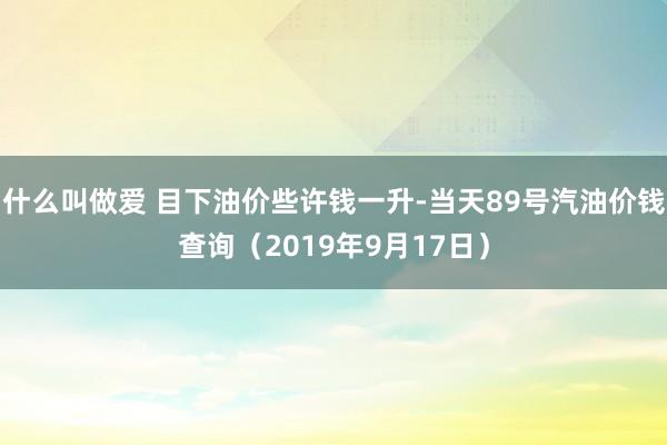 什么叫做爱 目下油价些许钱一升-当天89号汽油价钱查询（2019年9月17日）