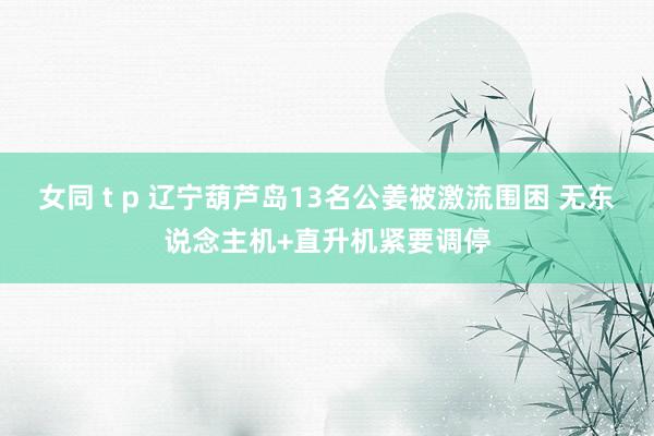 女同 t p 辽宁葫芦岛13名公姜被激流围困 无东说念主机+直升机紧要调停