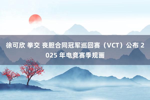 徐可欣 拳交 丧胆合同冠军巡回赛（VCT）公布 2025 年电竞赛季规画