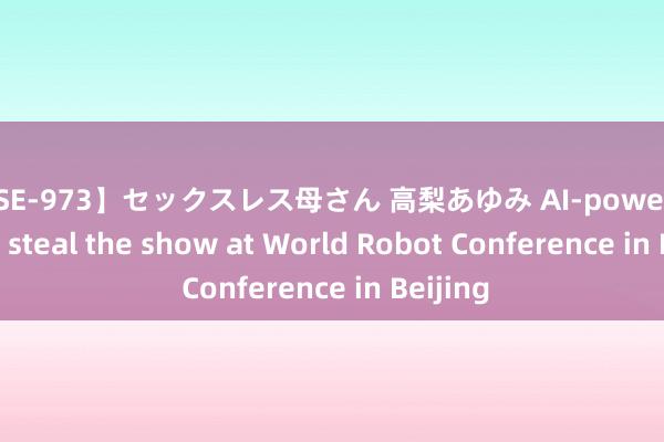 【DSE-973】セックスレス母さん 高梨あゆみ AI-powered robots steal the show at World Robot Conference in Beijing