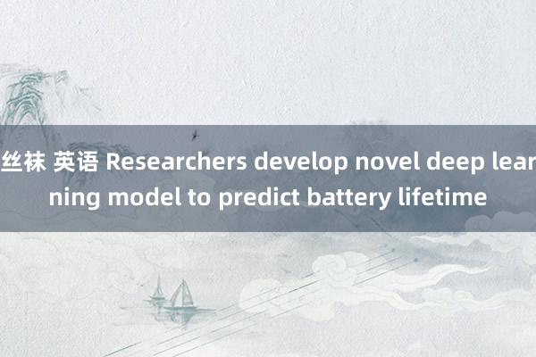 丝袜 英语 Researchers develop novel deep learning model to predict battery lifetime