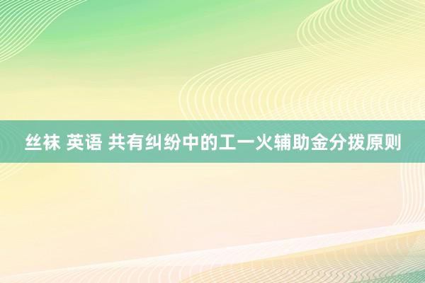 丝袜 英语 共有纠纷中的工一火辅助金分拨原则