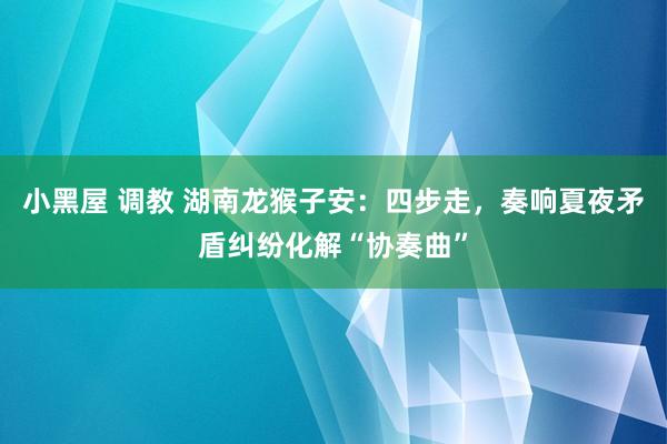 小黑屋 调教 湖南龙猴子安：四步走，奏响夏夜矛盾纠纷化解“协奏曲”