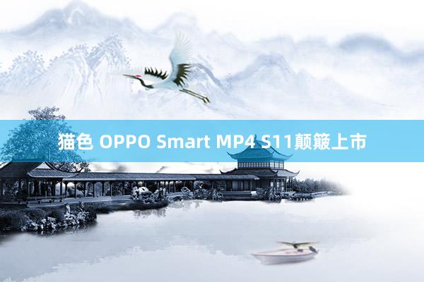 猫色 OPPO Smart MP4 S11颠簸上市