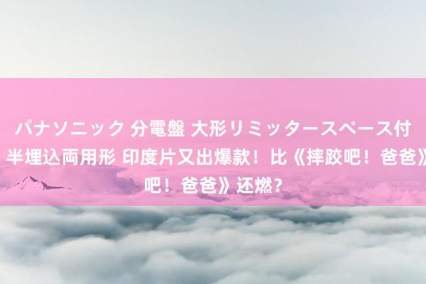 パナソニック 分電盤 大形リミッタースペース付 露出・半埋込両用形 印度片又出爆款！比《摔跤吧！爸爸》还燃？