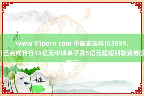 www 91porn com 中集安瑞科(03899.HK)已完成刊行15亿元中期单子及5亿元超短期融资券|簿记