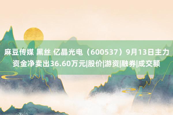 麻豆传媒 黑丝 亿晶光电（600537）9月13日主力资金净卖出36.60万元|股价|游资|融券|成交额