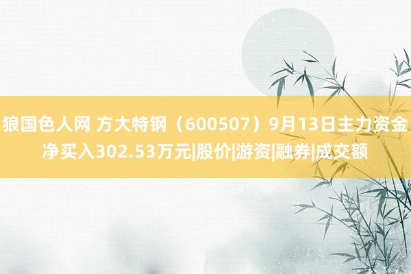 狼国色人网 方大特钢（600507）9月13日主力资金净买入302.53万元|股价|游资|融券|成交额