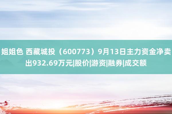 姐姐色 西藏城投（600773）9月13日主力资金净卖出932.69万元|股价|游资|融券|成交额