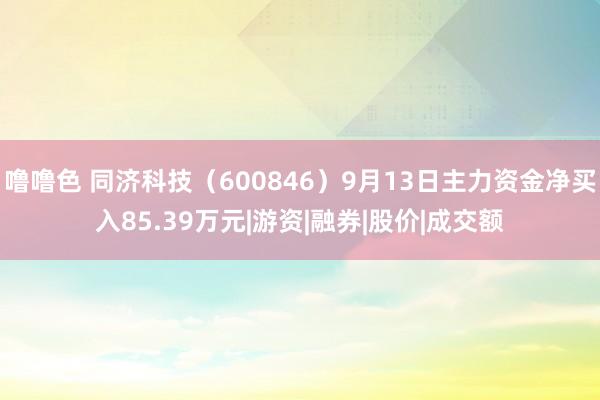 噜噜色 同济科技（600846）9月13日主力资金净买入85.39万元|游资|融券|股价|成交额