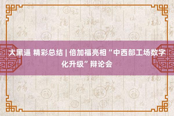 大黑逼 精彩总结 | 倍加福亮相“中西部工场数字化升级”辩论会