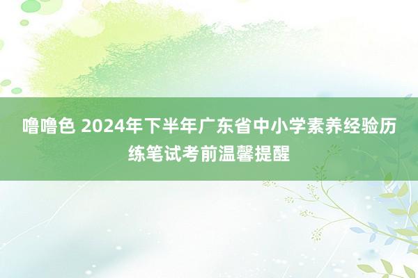 噜噜色 2024年下半年广东省中小学素养经验历练笔试考前温馨提醒